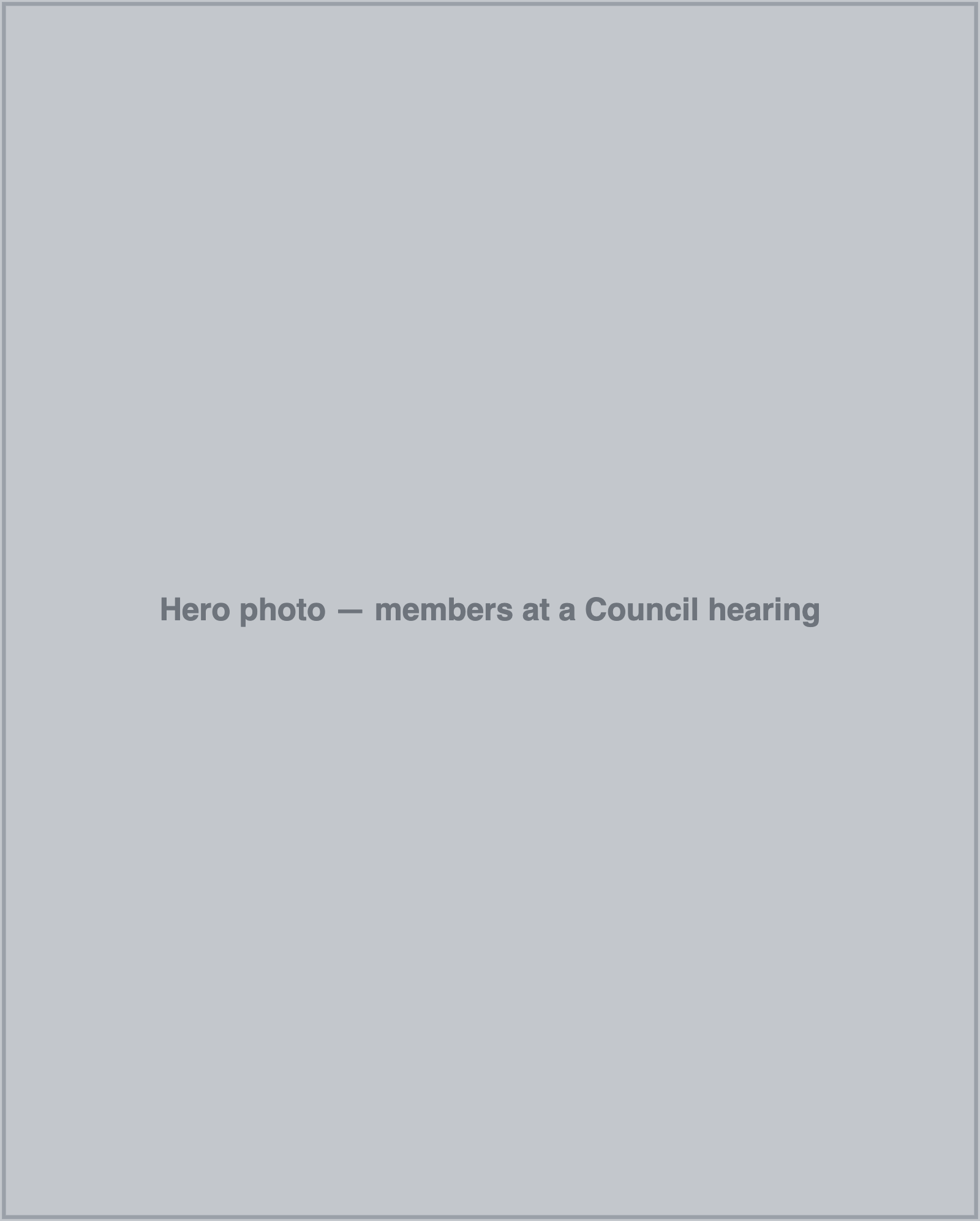 members at a Council hearing