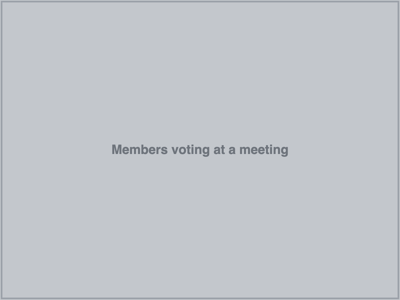 members voting at a meeting